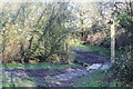 Footpath junction on Wales Coast Path