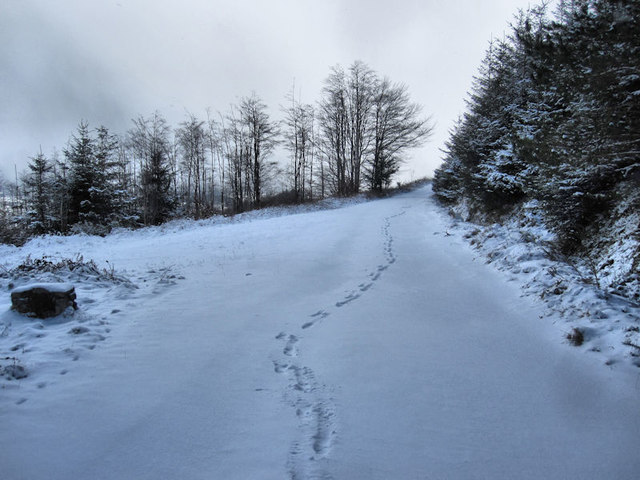 Snow Prints © kevin higgins :: Geograph Ireland