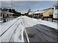 Wintry at Knockgreenan Avenue