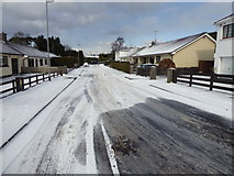 H4672 : Wintry at Knockgreenan Avenue by Kenneth  Allen