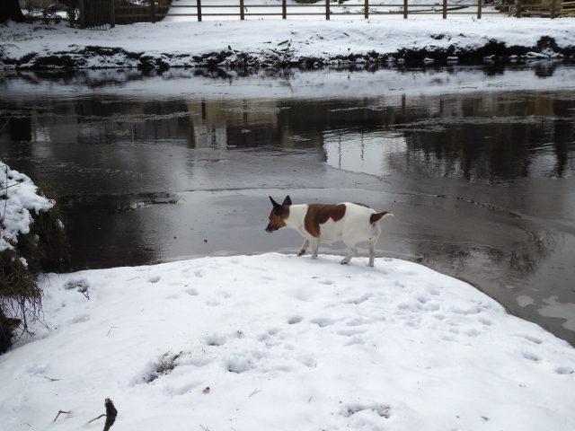 "Torpe" tests the water at Cranny
