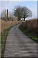 Country road approaching Sherrington Manor