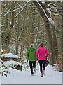 Runners in Whiteley Woods