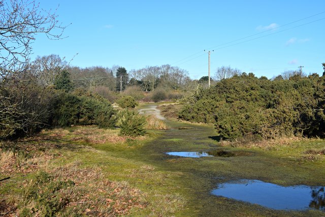 Westleton Common