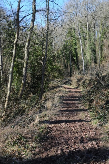 Woodland path, Brockhampton estate
