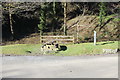 Picnic table, car park, Halfway Forest