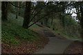 St Giles Hill paths, Winchester