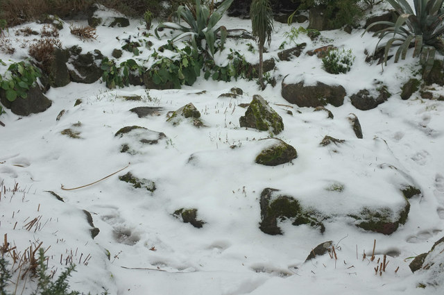 Abbey Park Rock Garden In The Snow C Derek Harper Geograph Britain And Ireland