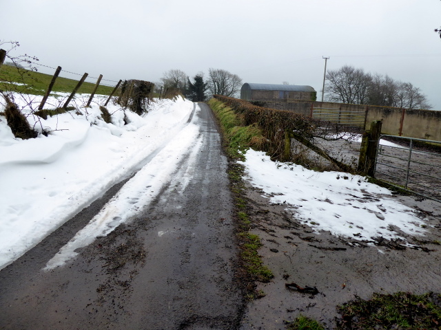 Snow, Tycanny Road © Kenneth Allen :: Geograph Ireland