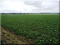 SE2384 : Field and crop boundaries, south of Thornton Watlass by Christine Johnstone