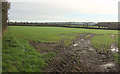 Field near Burniere