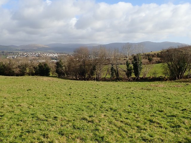 Pasture land on the Cornamucklagh/Lislea TD border