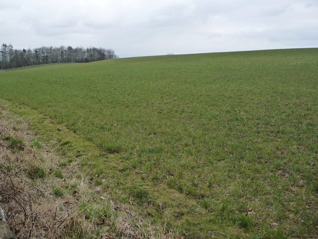Farmland between Hawkswell Lane and Craggs Lane
