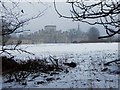 SP9912 : Ashridge in the snow by Rob Farrow