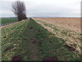 Embankment east of Faxfleet