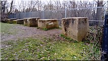 TQ4488 : View of World War II tank traps next to the Central line tracks on Footpath 97 #2 by Robert Lamb