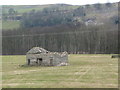 SE0997 : Ruined field barn, east of Stainton Middle Wood by Christine Johnstone