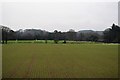 Field near Bishton