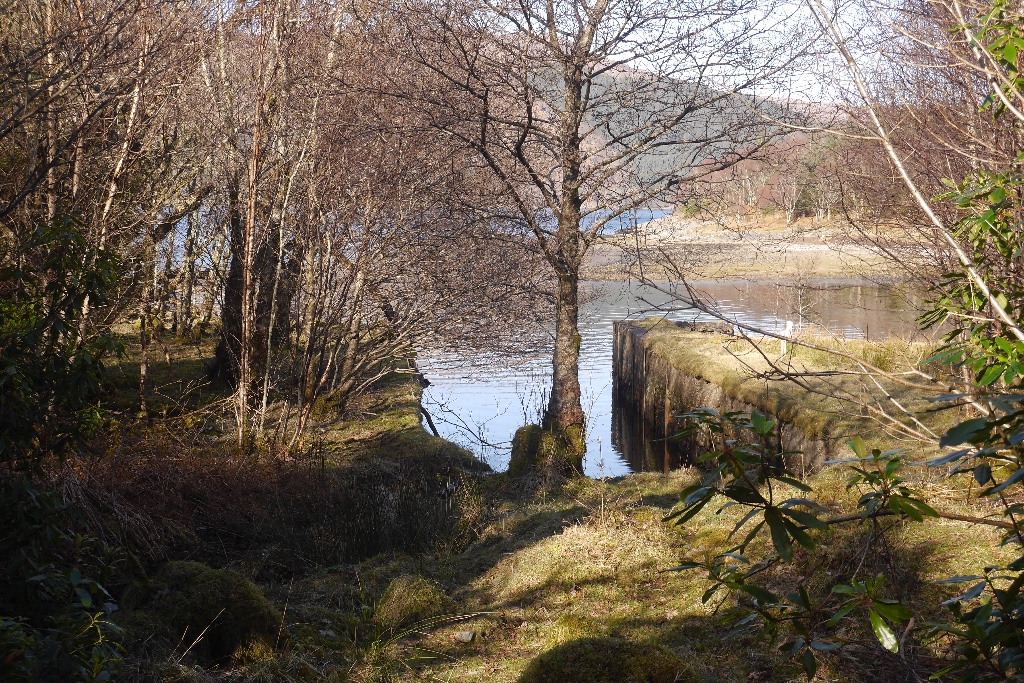 Dock, Glencripesdale © Richard Webb cc-by-sa/2.0 :: Geograph Britain ...