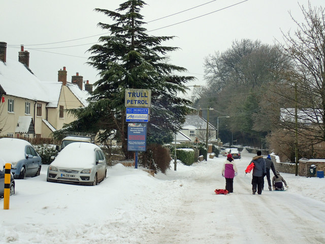 Trull in the snow