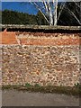 Cullompton: wall in Lower Mill Lane