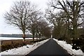 Avenue approaching Findo Gask