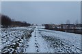 Frozen path on Heslington East