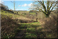 Track near Glebe Cottage