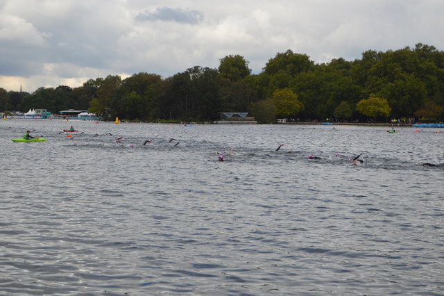 Openwater swimmers, The Serpentine