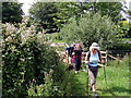 Llwybr Goldcliff / Goldcliff Path