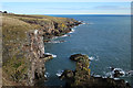 Cliffs North of Cove