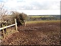 Pasture on Coleford Hill