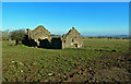 NS2910 : Ruin at Kirklandhill by Mary and Angus Hogg