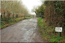 ST6466 : Private track near Queen Charlton by Derek Harper