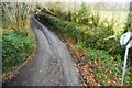 Lane to Courtney Cottages