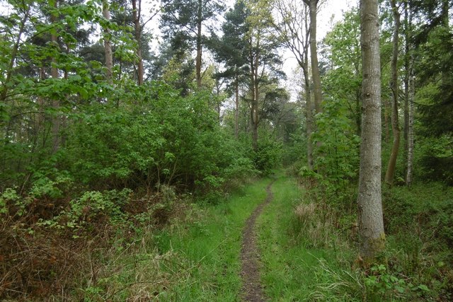 Path, Winton Hill