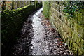 Old Culvert at the bottom of Otley Chevin