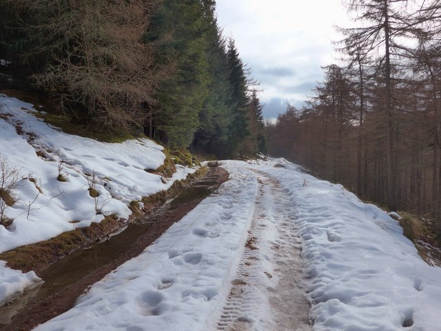 The track to Polney Loch