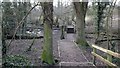 Footbridge over a stream