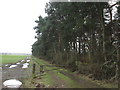 Tracks along the eastern boundary of Thorp Arch Trading Estate