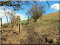 Cyffordd o lwybrau / A junction of paths