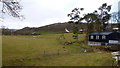 The Ysgir Fechan valley at Pont-rhyd-y-berry