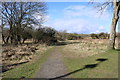 Path to the Castle Earthworks