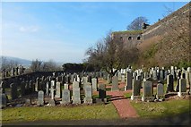 NS7993 : Snowdon Cemetery: northern half by Lairich Rig