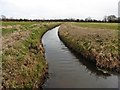 Drain on Panborough Moor