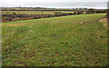 Farmland and wood near Queen Charlton