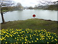 One of the lakes at Stockley Park