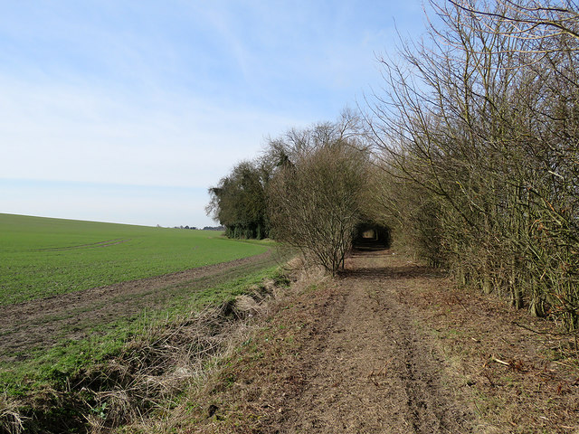 The track to Nine Wells