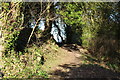 Woodland Path, Kirkcudbright