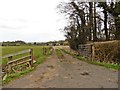 Track to Barn Farm